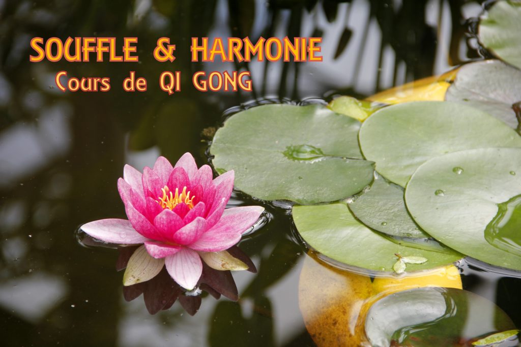 Souffle & Harmonie (Qi Gong)